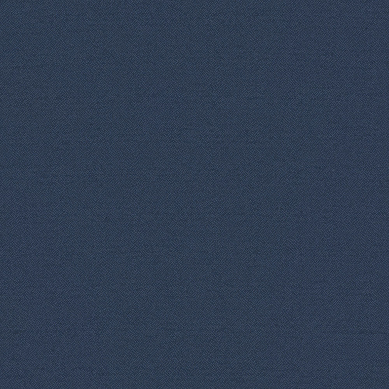 CE3132 Navy